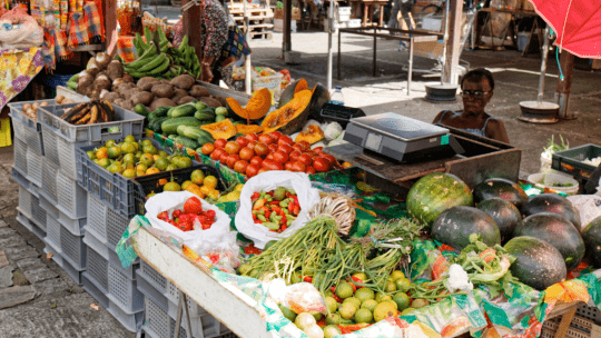 Bien se renseigner avant de faire ses courses en Martinique